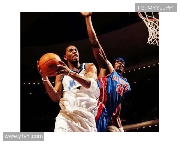 热火与黄蜂精彩对决回顾CCTV2017赛季经典时刻全解析